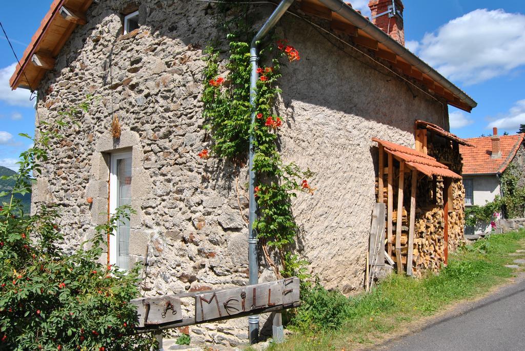 Gite De La Meille Chamalières-sur-Loir Pokój zdjęcie